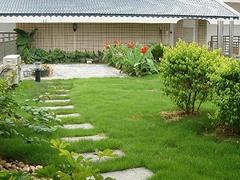 信譽好的屋頂綠化,提供專業的屋頂綠化-福州御景園環?？萍继峁┬抛u好的屋頂綠化,提供專業的屋頂綠化的相關介紹、產品、服務、圖片、價格庭院設計、福州植物墻、福州屋頂綠化、福州墻體美化裝飾、福州仿真植物墻、福州辦公綠化、