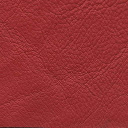 皮革貼圖 探索皮革紋理的多樣性與應用